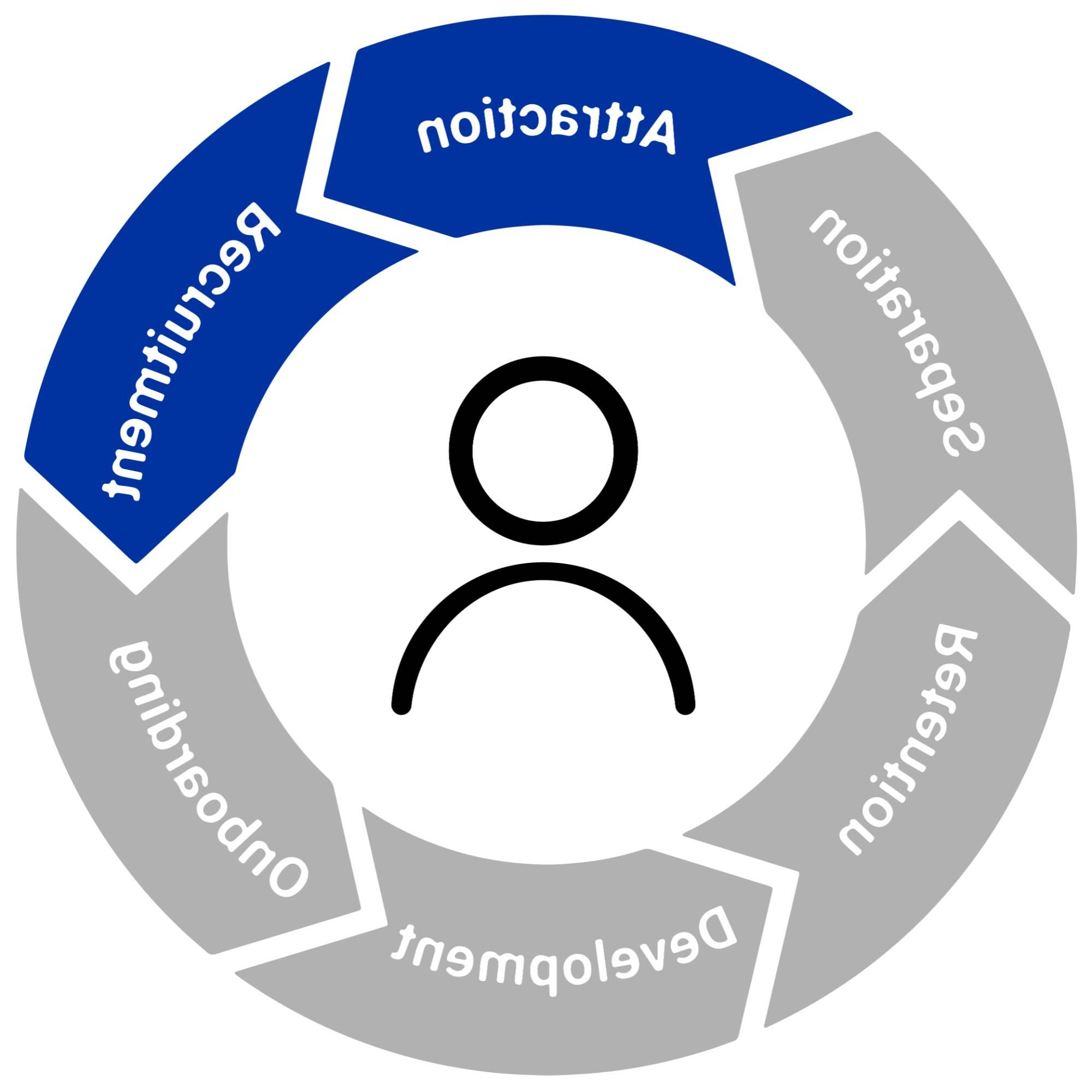 Employee Lifecycle, with "Attraction" and "Recruitment" highlighted
